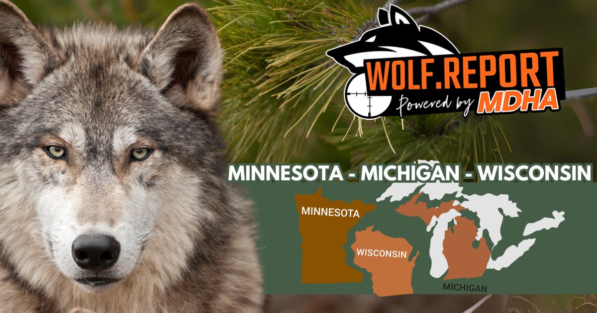 Mapping with Wolf Report. Now Covering Three States!